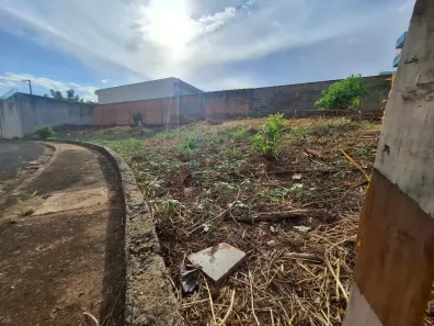 Lote/Terreno à venda, 218m² no Vila Monte Alegre, Ribeirão Preto