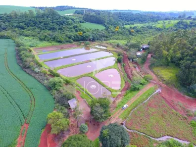 Fazenda/Sítio com 3 Quartos à venda, 774400m² no Núcleo Habitacional Afonso Alves de Camargo, Apucarana