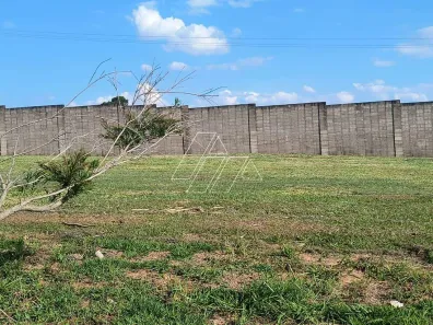 Lote/Terreno à venda, 250m² no Jardim Esmeralda, Marília
