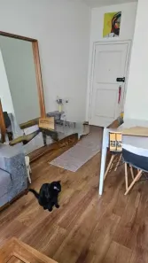 Apartamento com 2 Quartos à venda, 58m² no Laranjeiras, Rio de Janeiro