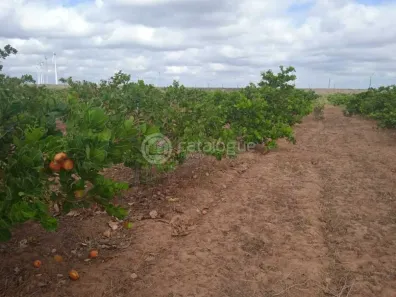 Fazenda/Sítio à venda, 200m² no centro, São Bento do Norte