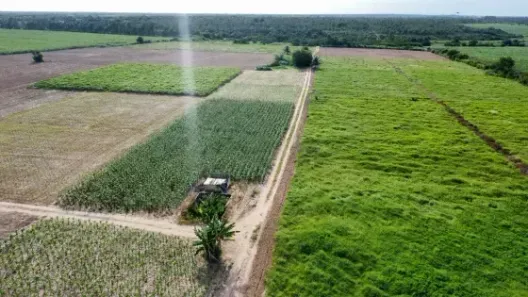 Fazenda/Sítio com 3 Quartos à venda, 480000m² no Arenã, São José de Mipibu