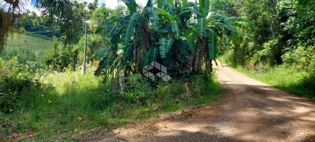 Fazenda/Sítio à venda, 23000m² no Faria Lemos, Bento Gonçalves