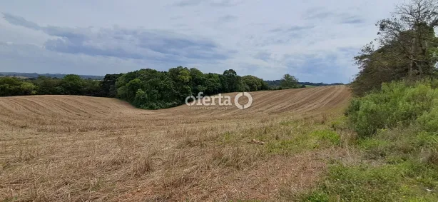 Fazenda/Sítio à venda, 20000m² no Guajuvira, Araucária