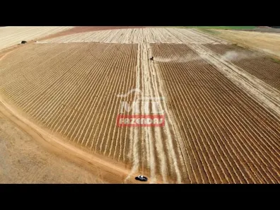 Fazenda/Sítio à venda, 1m² no , Cristalina