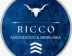 Miniatura da foto de Ricco Agronegócio E Imoveis Ltda - CRECI: 36.490-J-GO