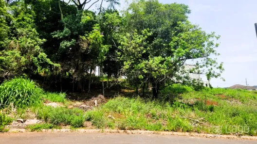 Lote/Terreno à venda, 427m² no Estrela, Ponta Grossa