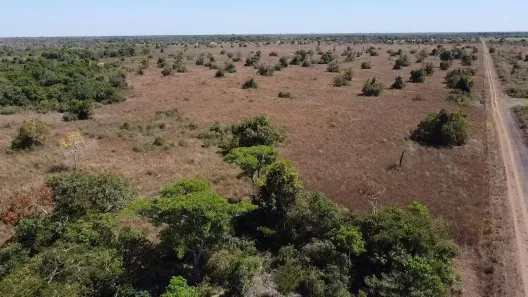 Fazenda/Sítio à venda, 54m² no Centro, Barra do Garças