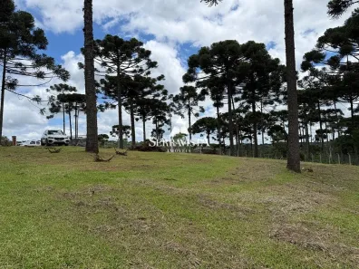Fazenda/Sítio com 1 Quarto à venda, 5000m² no , Campo Alegre