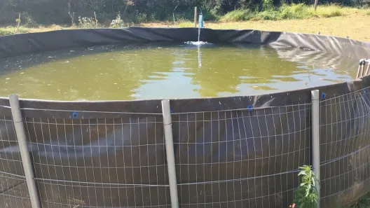 Fazenda/Sítio com 2 Quartos à venda, 45000m² no , São Sebastião do Paraíso
