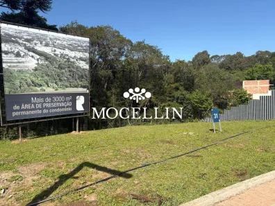 Lote/Terreno à venda, 301m² no Santa Felicidade, Curitiba