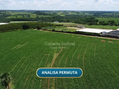 Fazenda/Sítio à venda, 10m² no Área Rural de Holambra, Holambra