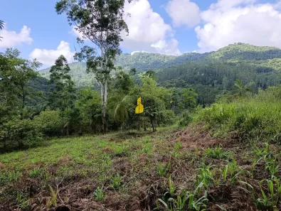 Lote/Terreno à venda, 80000m² no Rio dos Cedros, Rio dos Cedros