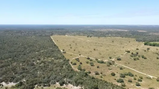 Fazenda/Sítio à venda, 13700000m² no , Arinos