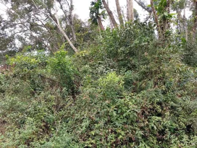 Lote/Terreno à venda, 1012m² no Jardim Coronel, Itanhaém