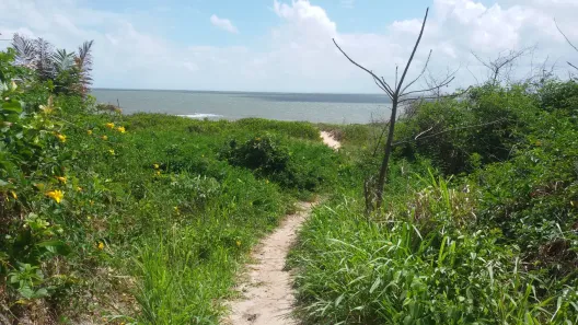 Lote/Terreno à venda, 140000m² no Novo Cohatrac, São José de Ribamar