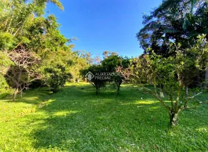 Fazenda/Sítio à venda, 7307m² no , Torres
