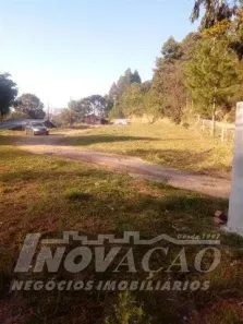 Fazenda/Sítio com 1 Quarto à venda, 10000m² no Santa Lúcia do Piaí, Caxias do Sul