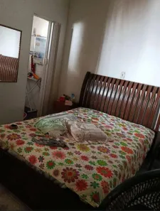 Casa com 3 Quartos para alugar, 220m² no Jardim Itapema, São José do Rio Preto