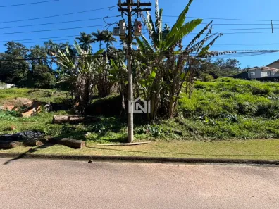 Lote/Terreno à venda, 307m² no Jardim Barbacena, Cotia