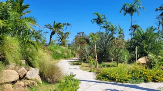 Lote/Terreno à venda, 450m² no Ingleses do Rio Vermelho, Florianópolis