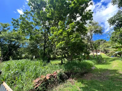 Lote/Terreno à venda, 500m² no Enseada, São Sebastião