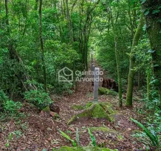 Lote/Terreno à venda, 50000m² no Centro, São Francisco de Paula