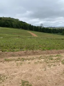 Lote/Terreno à venda, 500m² no Altos de Caucaia (Caucaia do Alto), Cotia