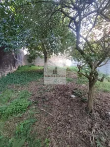 Lote/Terreno à venda, 250m² no Jardim das Imbuias, São Paulo