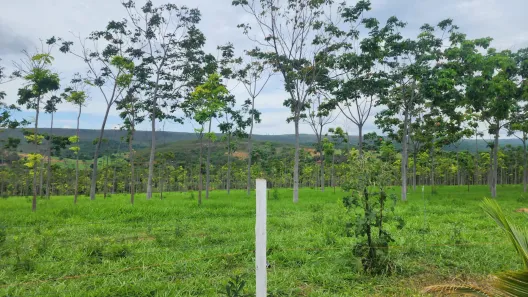 Lote/Terreno à venda, 1190m² no , Cordisburgo