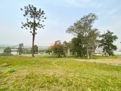 Lote/Terreno à venda, 1411m² no Jardim Amélia, Pinhais