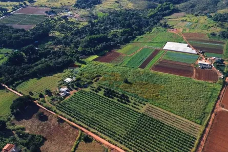 Fazenda/Sítio à venda, 85600m² no Brazlândia, Brasília