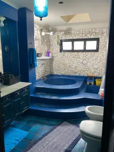 Casa com 4 Quartos para alugar, 640m² no Vila Redentora, São José do Rio Preto