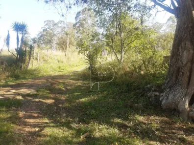 Fazenda/Sítio com 2 Quartos à venda, 150m² no Ibiúna, Ibiúna