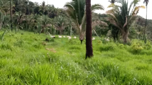 com 2 Quartos à venda, 180m² no , Poxoréu