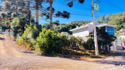 Lote/Terreno à venda, 350m² no De Zorzi, Caxias do Sul