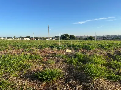 Lote/Terreno à venda, 263m² no Parque Residencial Novo Horizonte, Marília