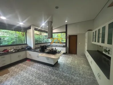 Fazenda/Sítio com 5 Quartos à venda, 1m² no Luzimangues, Porto Nacional