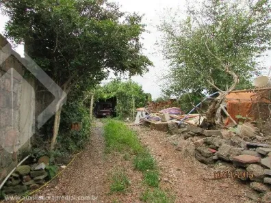 Lote/Terreno à venda, 392m² no Bom Jesus, Porto Alegre