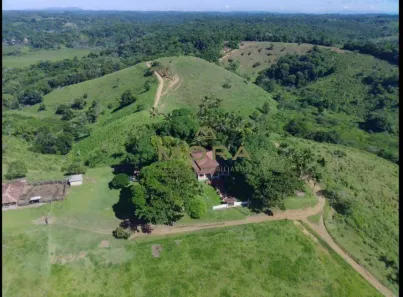 Fazenda/Sítio com 6 Quartos à venda, 600000m² no Nossa Senhora da Vitória, Ilhéus