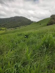 Fazenda/Sítio com 3 Quartos à venda, 380000m² no Lima Duarte, Lima Duarte