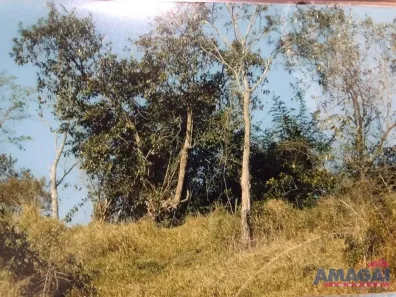 Lote/Terreno à venda, 738m² no Estância Porto Velho, Jacareí