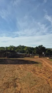 com 2 Quartos à venda, 200m² no , Torixoréu