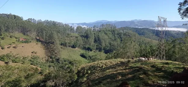 Fazenda/Sítio com 1 Quarto à venda, 202554m² no São Francisco Xavier, São José dos Campos