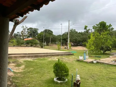 Fazenda/Sítio com 4 Quartos à venda, 4000m² no Área Rural de Timon, Timon
