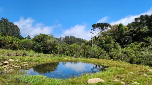 Fazenda/Sítio à venda, 32000m² no , Bocaina do Sul