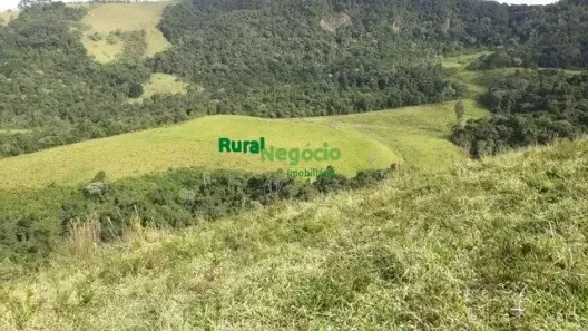 Fazenda/Sítio à venda, 750000m² no Centro, Maria da Fé