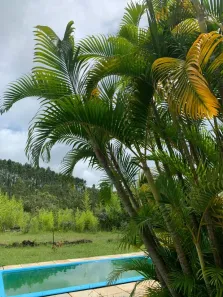 Fazenda/Sítio à venda, 110000m² no , Coronel Xavier Chaves