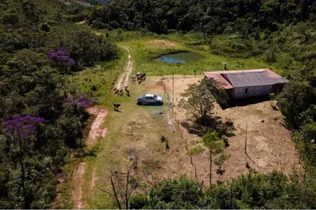 Fazenda/Sítio à venda, 430000m² no , Santa Bárbara do Monte Verde
