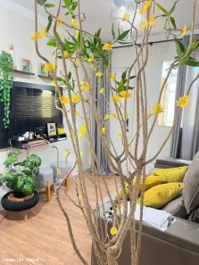 Apartamento com 2 Quartos à venda, 60m² no Vila Cardia, Bauru